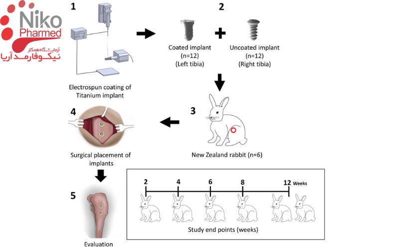 روش های تست کاشت - آزمون کاشت - ایمپلنت