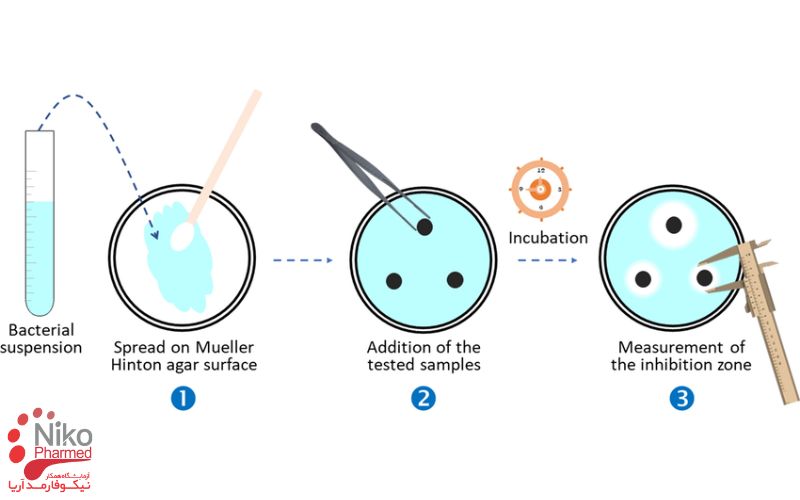 تعیین قطر هاله عدم رشد - پس از انکوباسیون در آگار, مقدار هاله عدم رشد قابل اندازه گیری است