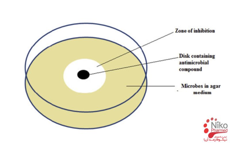 آزمون هاله عدم رشد چگونه انجام می شود؟ - هاله عدم رشد در یک پلیت حاوی آگار - هاله عدم رشد در پتری دیش