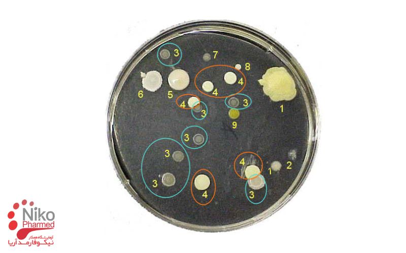 برای مشاهده کلنیها با کلنی کانتر چه کاری باید انجام داد؟