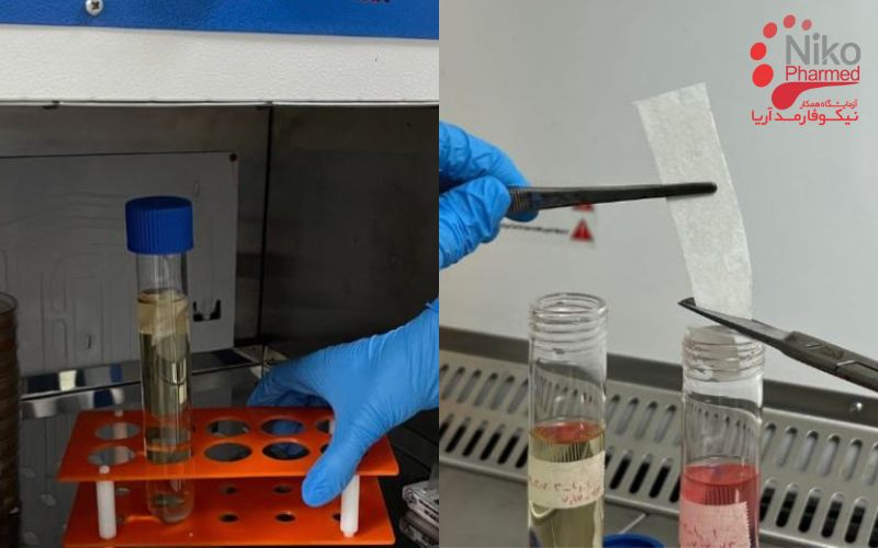 روش انجام تست استریلیتی چگونه است؟ - تست استریل - ازمون استریلیتی