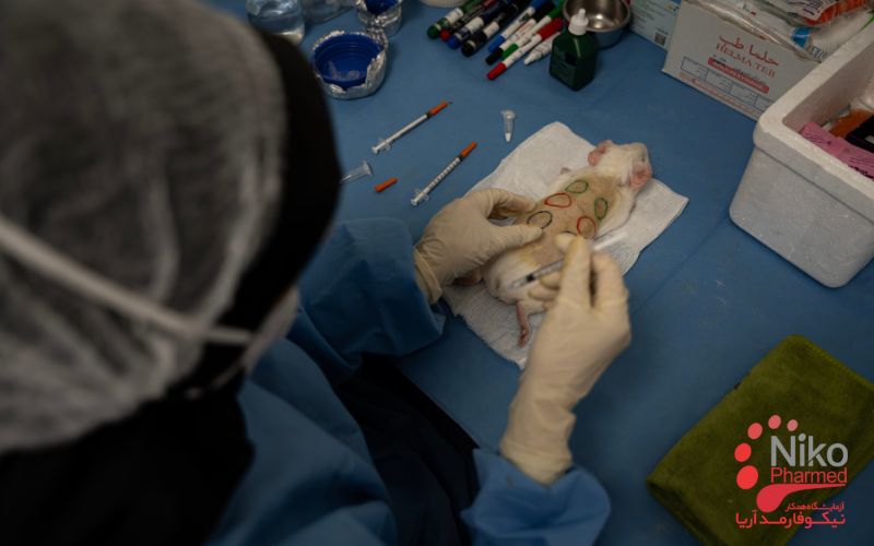 تست های زیست سازگاری - انجام تست کاشت روی موش