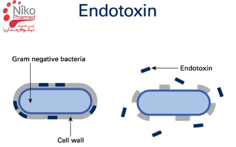 ویژگی های اندوتوکسین