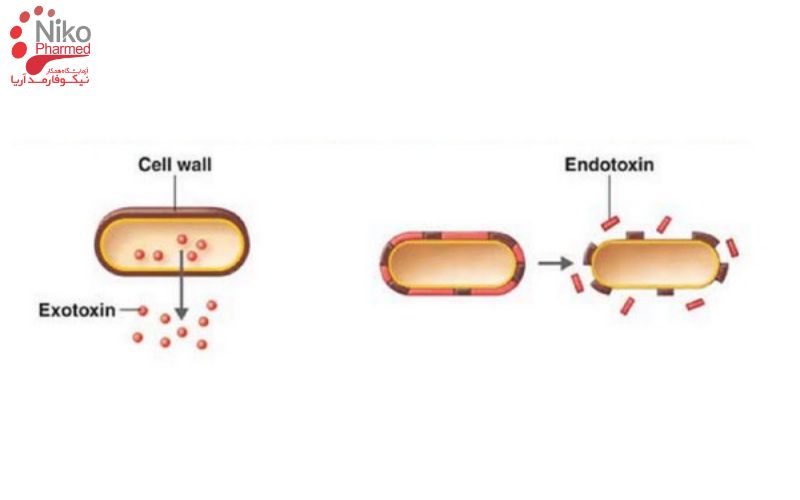 اندوتوکسین چیست؟