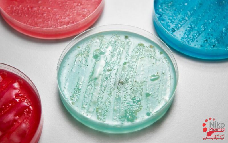 antibacterial testing