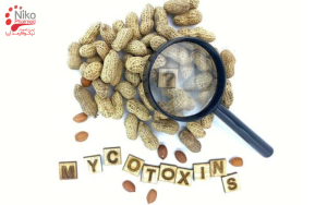 منابع مایکوتوکسین‌ها