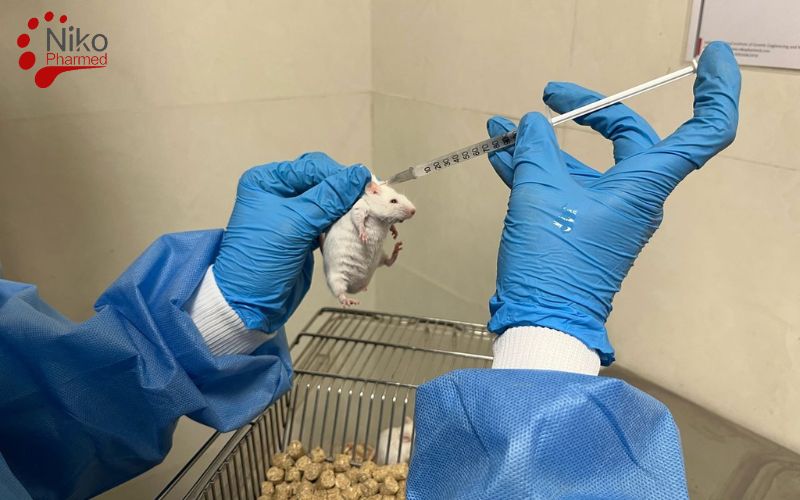 Types of Biocompatibility Tests According to ISO 10993-1