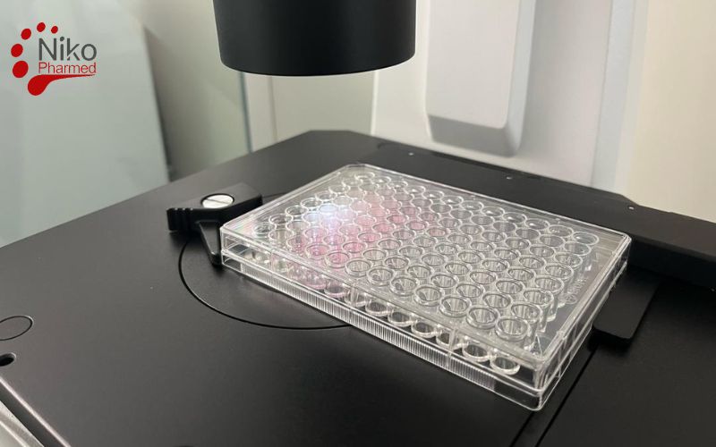 What is Cytotoxity Test?