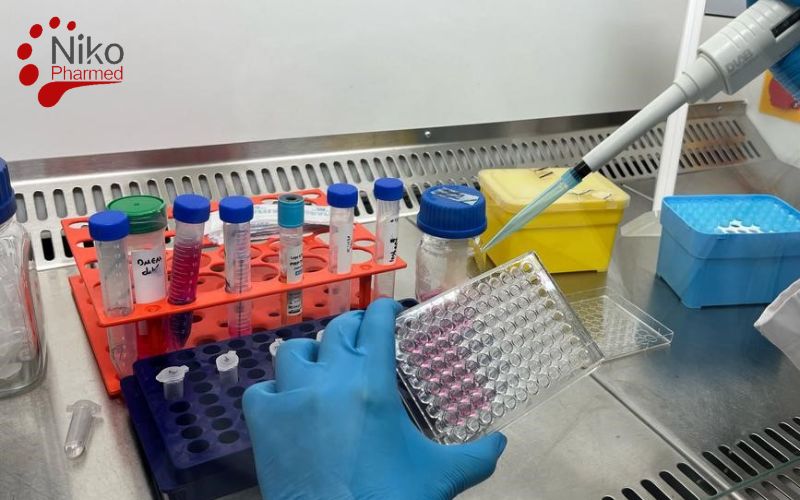 Cytotoxicity Test Methods