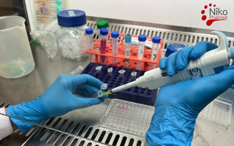 Cytotoxity Test