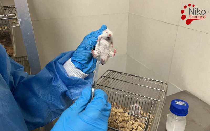Types of Systemic Toxicity Testing