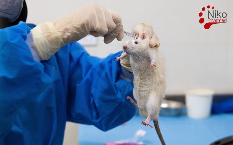 Systemic toxicity testing