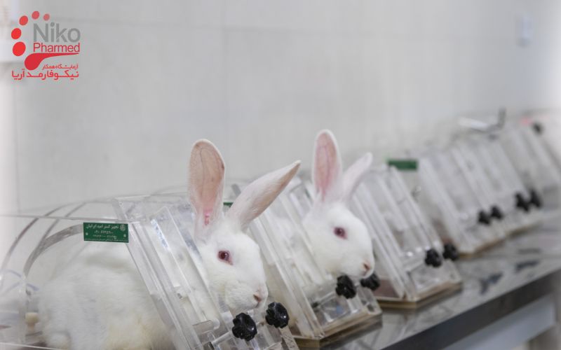 Biocompatibility testing