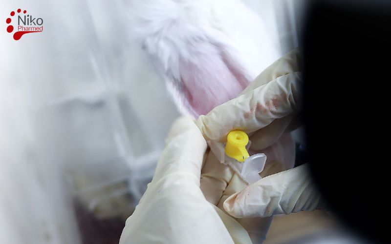 Pyrogen Testing