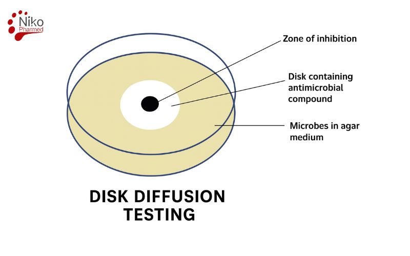 Disk Diffusion Testing Procedure- Kirby-Bauer test