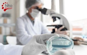 Antimicrobial Efficacy of Hand Hygiene Products