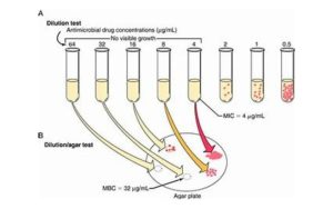 کاربردهای آزمون MIC-MBC