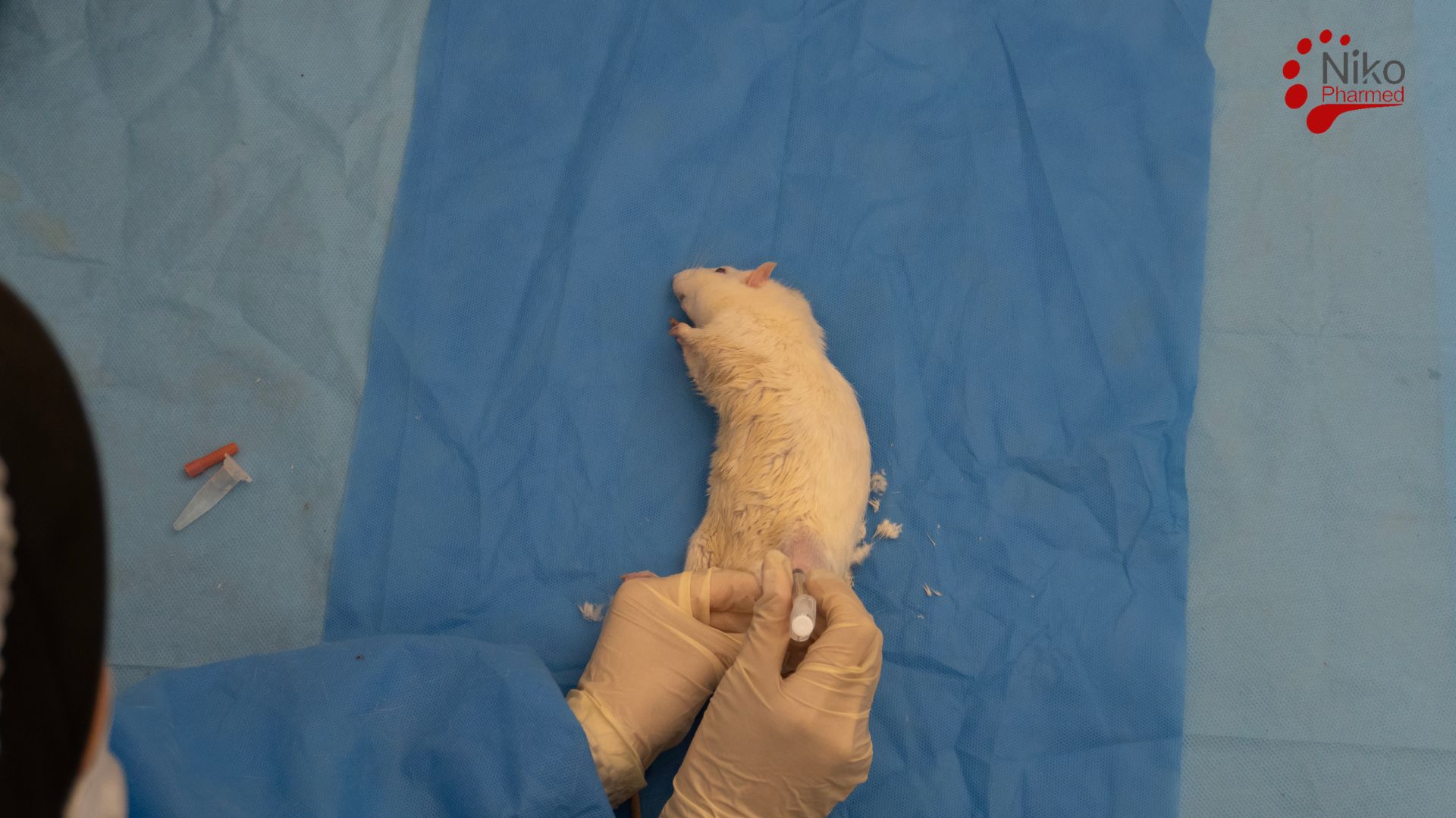 Subchronic Systemic Toxicity Test Procedure