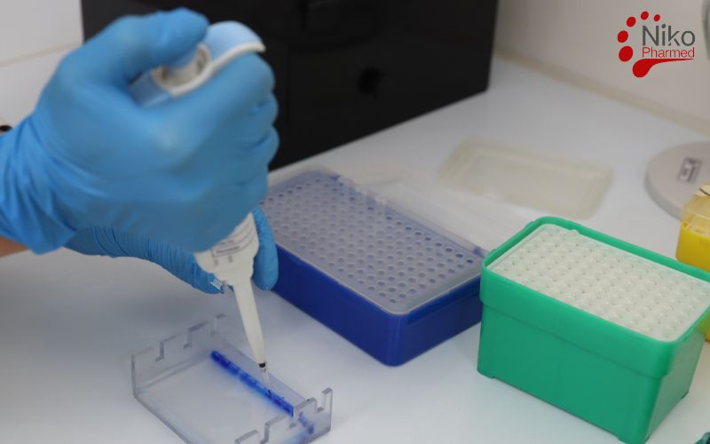 Mycoplasma Testing