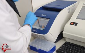 Mycoplasma Testing Procedure