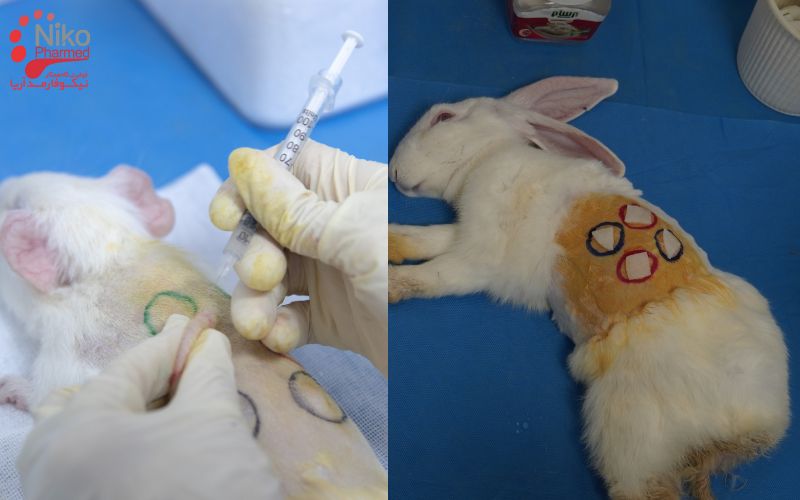 تفاوت آزمون حساسیت زایی و آزمون تحریک زایی