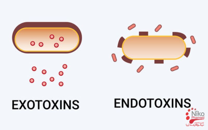 انواع توکسین باکتری کدامند؟
