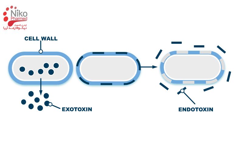 توکسین باکتری چیست؟