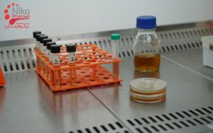 تست چالش میکروبی چگونه انجام می شود؟